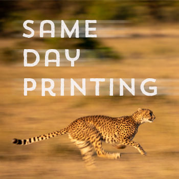 Same day printing Luton